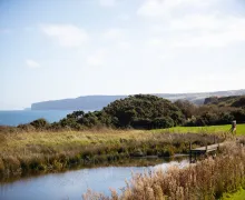 Haven Primrose Valley Holiday Park Yorkshire - Filey