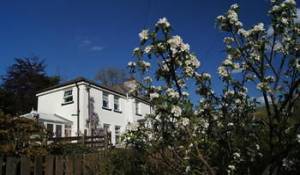 Image of - Arfryn House Bed and Breakfast