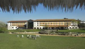 Image of - Chessington Safari Hotel