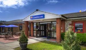 Image of the accommodation - Comfort Inn Arundel Arundel West Sussex BN17 7QQ