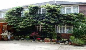Image of the accommodation - Da Vinci Guest House Gatwick Crawley West Sussex RH11 0NU