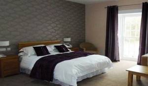 Image of the accommodation - The Britannia Inn & Waves Restaurant Par Cornwall PL24 2SL
