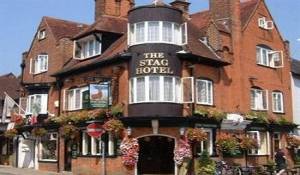 Image of the accommodation - The Stag Hotel Lyndhurst Hampshire SO43 7BE