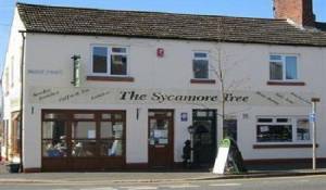 Image of - The Sycamore Tree