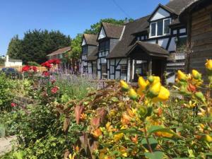 Image of the accommodation - The Thatch Inn Gloucester Gloucestershire GL2 4PQ