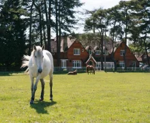 Beaulieu Hotel - Brockenhurst