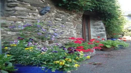 Church Barn - Totnes