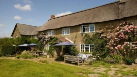 Colly Farm - Bridport