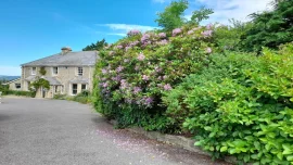 Fairwater Head - Axminster