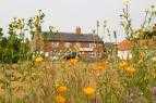 Wrentham, Suffolk
