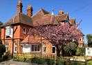 Forest Side Guesthouse - Lyndhurst