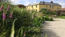 Frizenham Farmhouse - Torrington