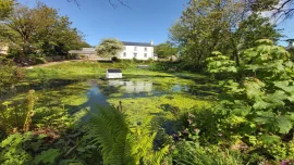 Hen Ffermdy - Castlemorris
