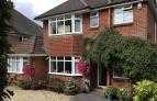 Honey Lodge - Broadstone