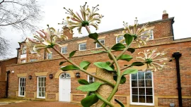 Houndgate Townhouse - Darlington