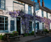The Dabbling Duck - Kings Lynn
