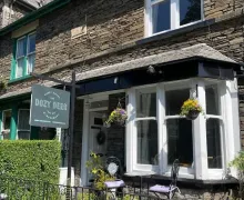 The Dozy Deer - Windermere