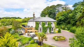 The Horn of Plenty - Tavistock