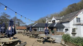 The Sawmills - Ilfracombe