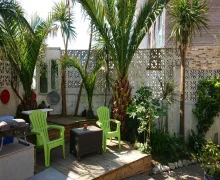 The Black Palms - Fistral Beach - Newquay